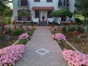  Studios Stefani  Петра